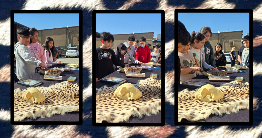 More fun from The Fort Worth Zoo 'WILD ONES' Education Program!  