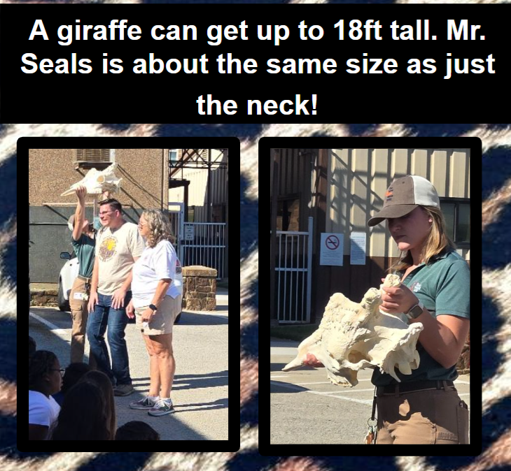 More fun from The Fort Worth Zoo 'WILD ONES' Education Program!  