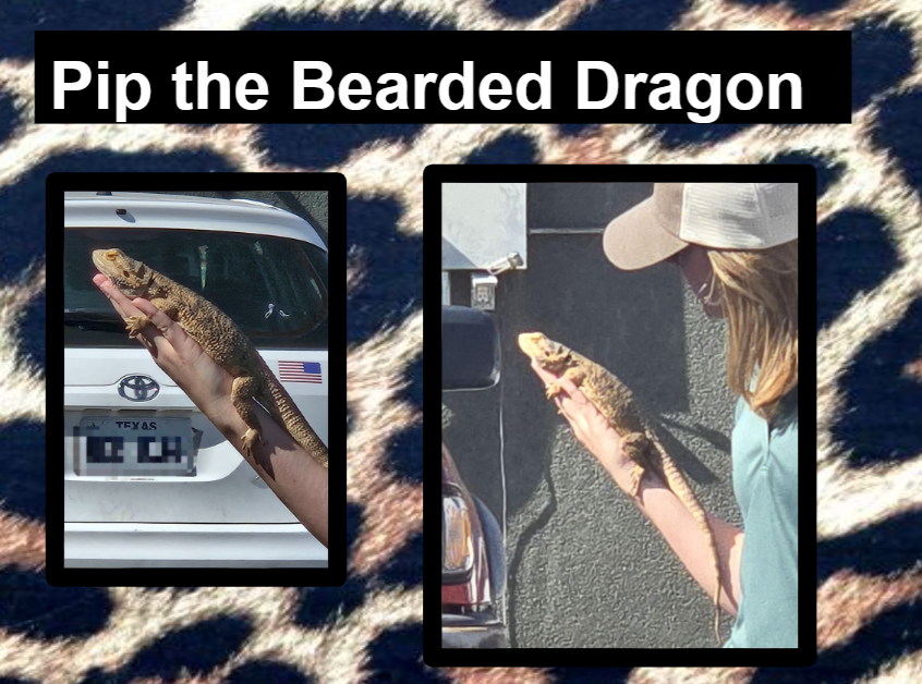 More fun from The Fort Worth Zoo 'WILD ONES' Education Program!  