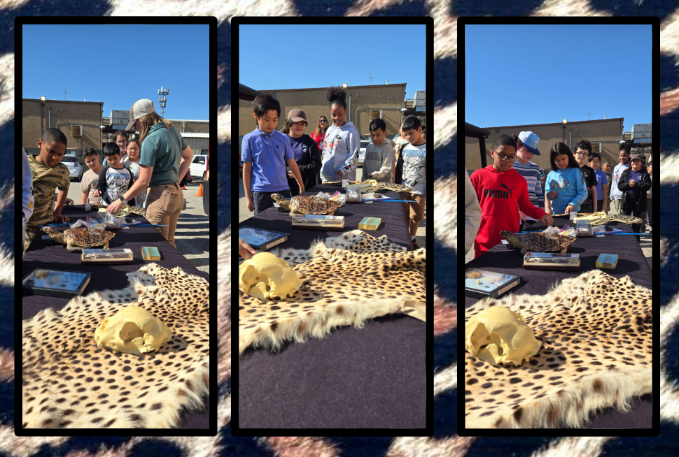 More fun from The Fort Worth Zoo 'WILD ONES' Education Program!  