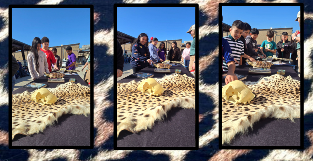 More fun from The Fort Worth Zoo 'WILD ONES' Education Program!  