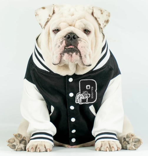 Bulldogs Bundle Up! 