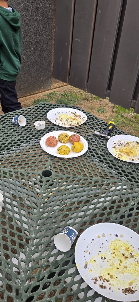 Mrs. Harkless's 5th grade science classes created sedimentary rocks today.  They used the principles of erosion,  friction,  heat and compression in this fun and messy lab.   