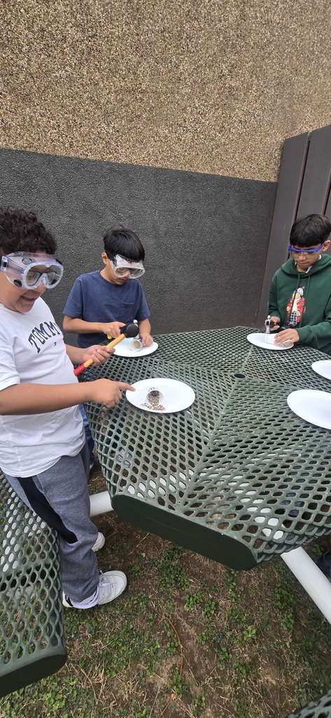 Mrs. Harkless's 5th grade science classes created sedimentary rocks today.  They used the principles of erosion,  friction,  heat and compression in this fun and messy lab.   
