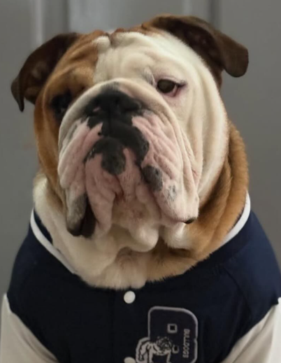 Bulldogs Bundle Up! 