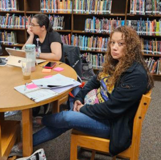 Professional Development