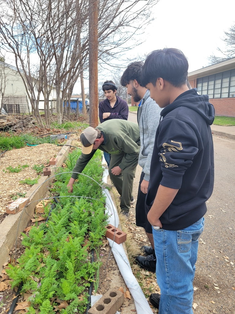 a taste of their hard work