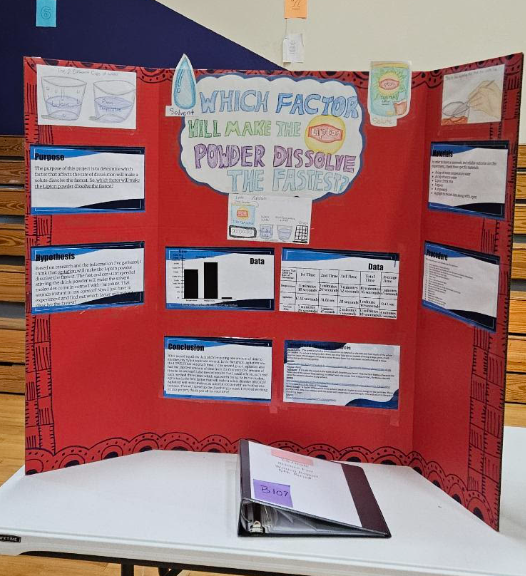 Science Fair