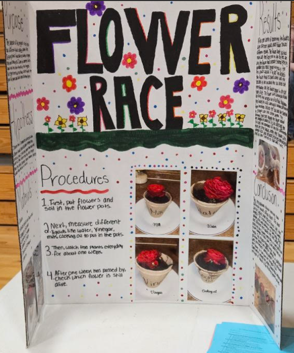 Science Fair