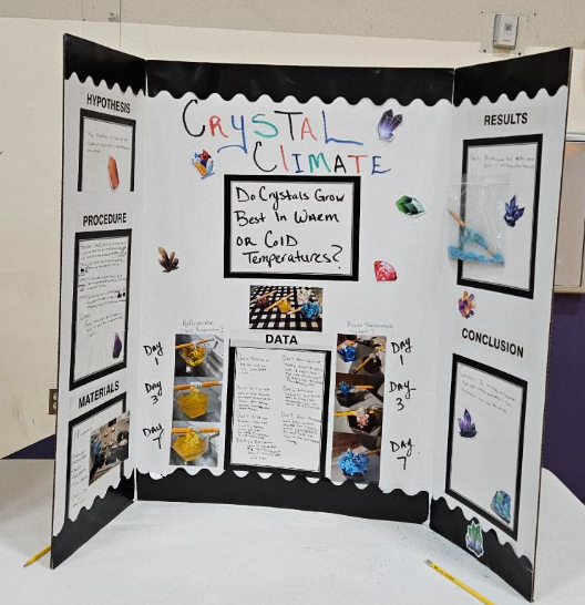 Science Fair