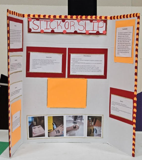 Science Fair