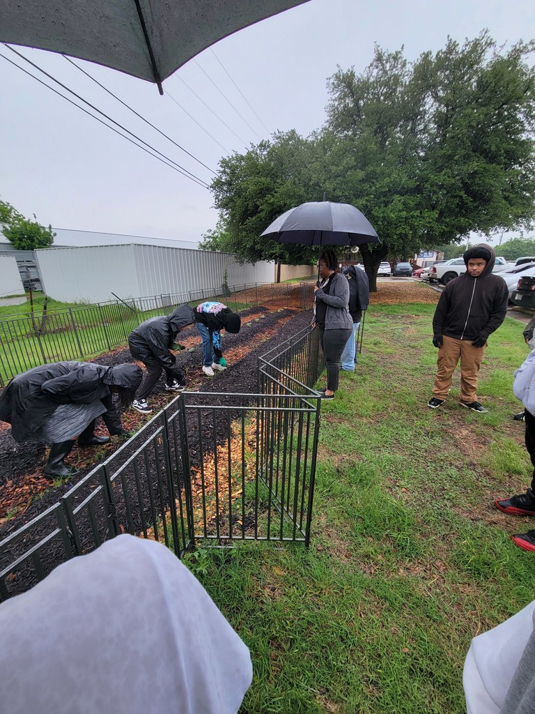 planting