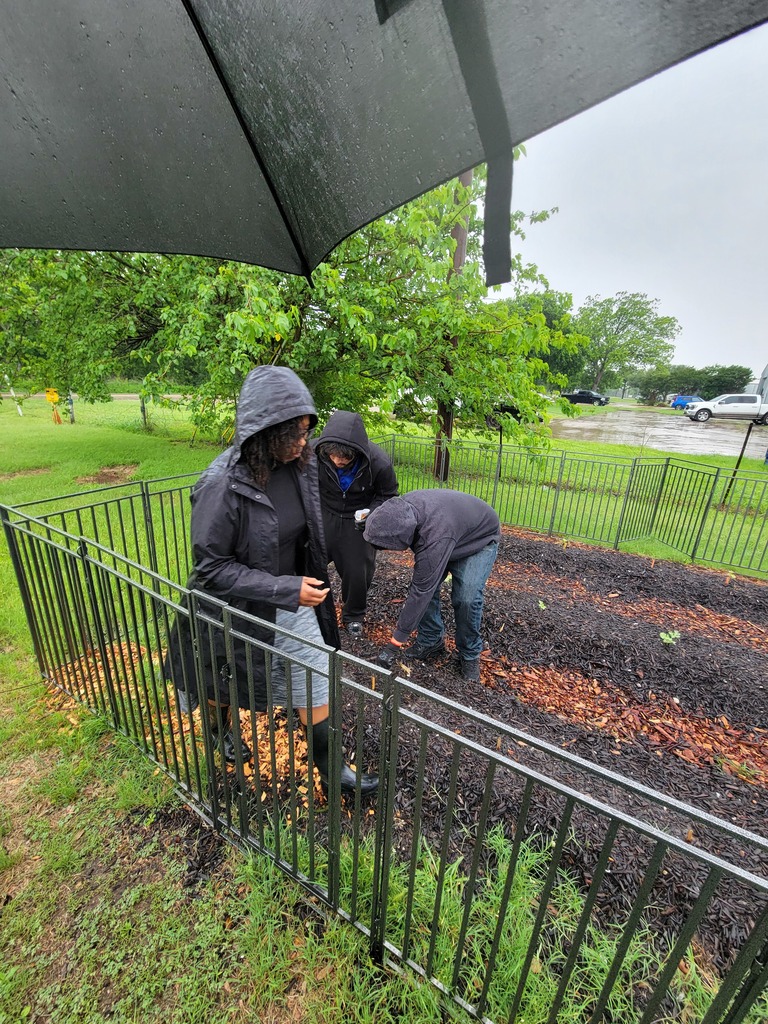 planting