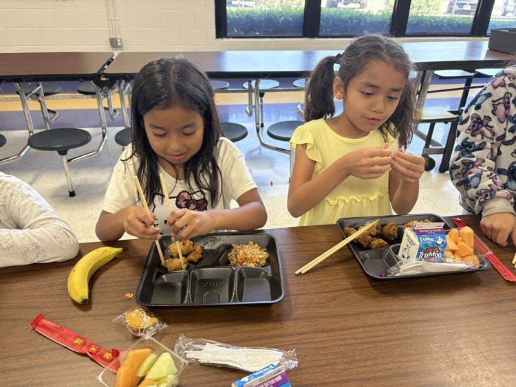 Asian style lunch with families