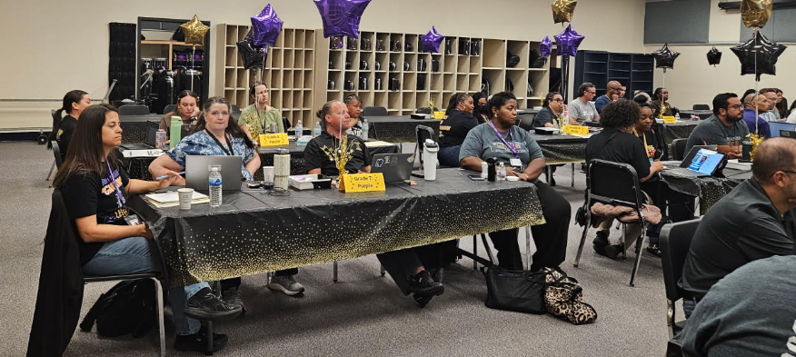 Professional Development