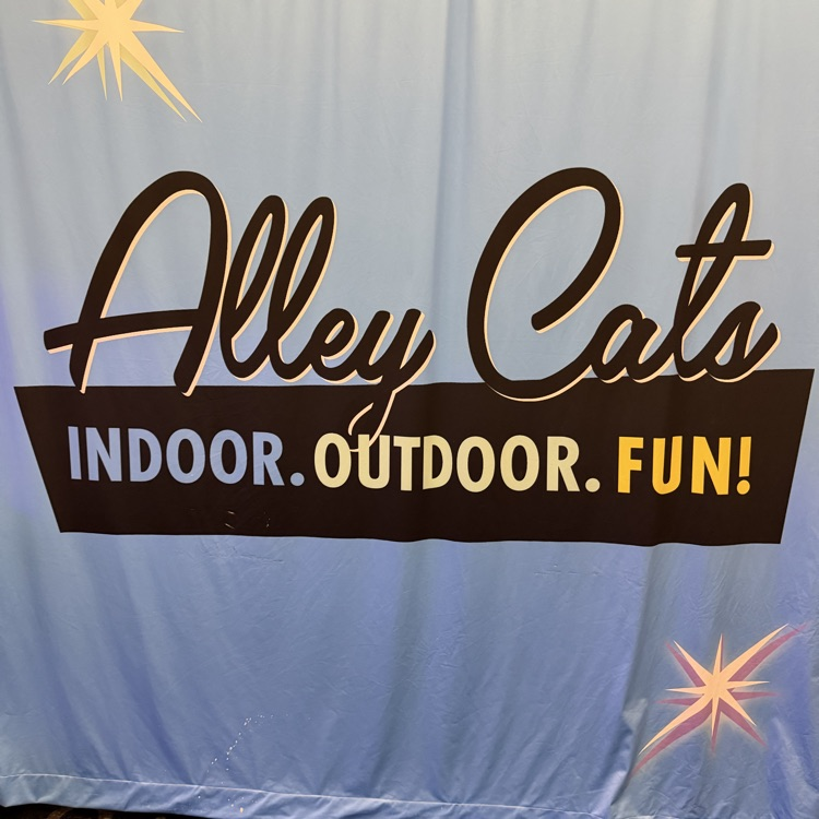 alli cats
