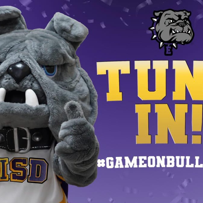 bulldog