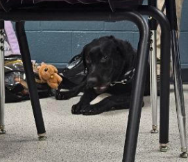 Spark Visits Roy Johnson STEM Academy