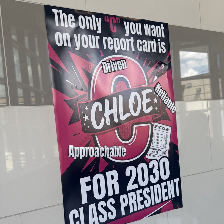 Election Picture 