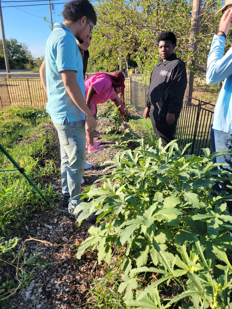 gardening