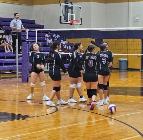 Volleyball