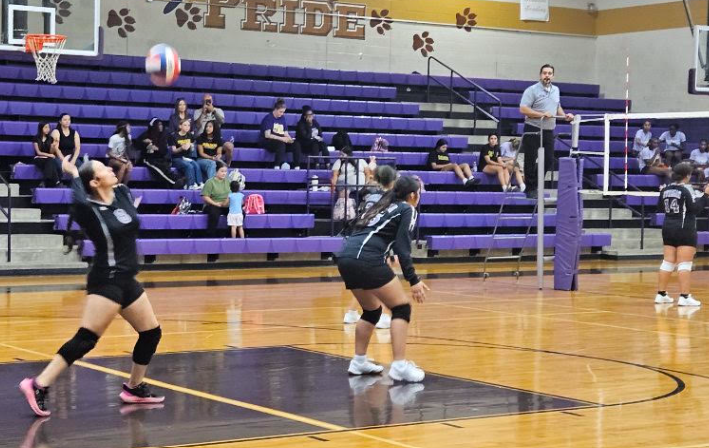 Volleyball
