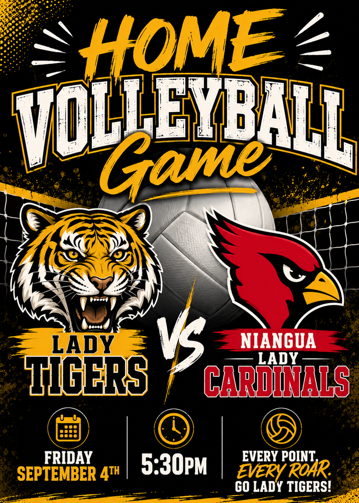 VBall Home Game