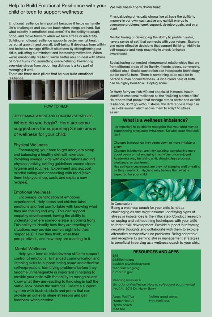 Building Resilience strategies and supports