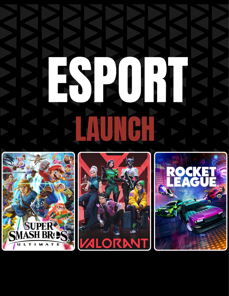 ESPORTS Program