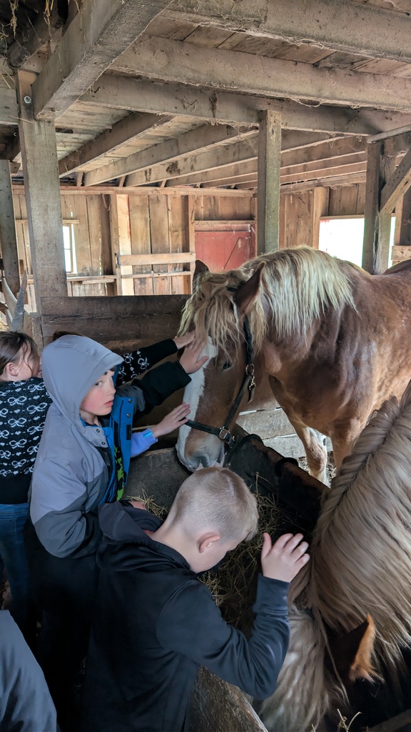 horse
