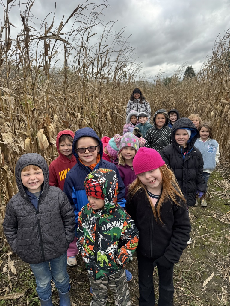 corn maze