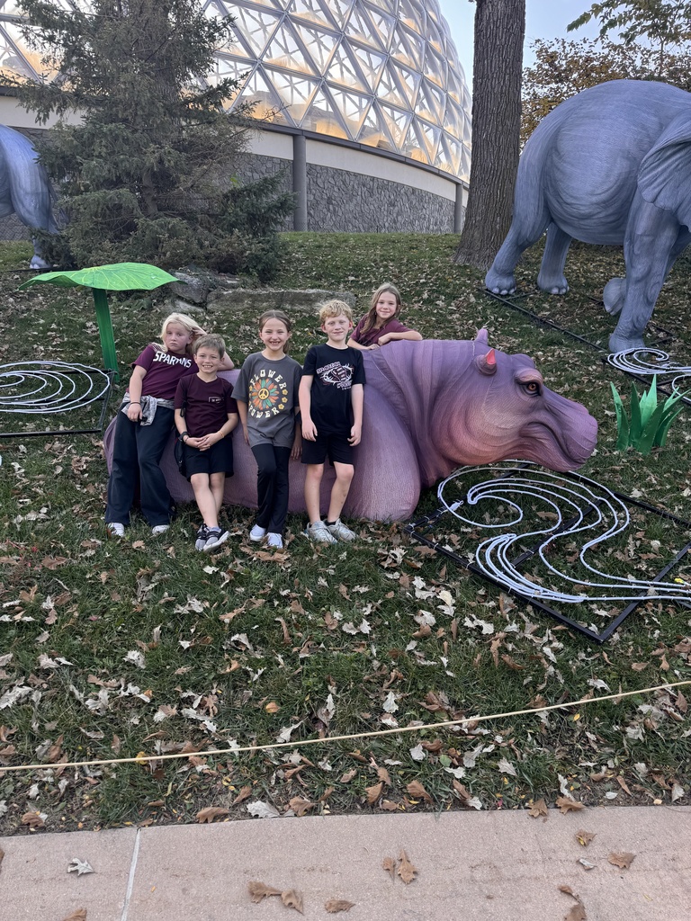 hippo