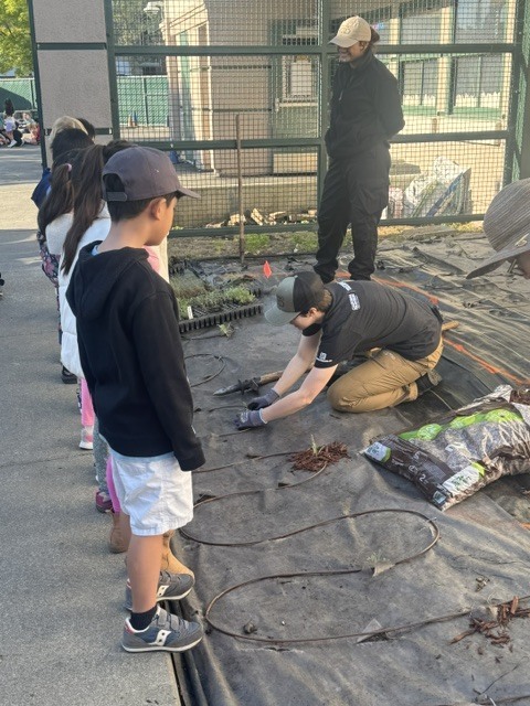 Students standing in the garden learning water education