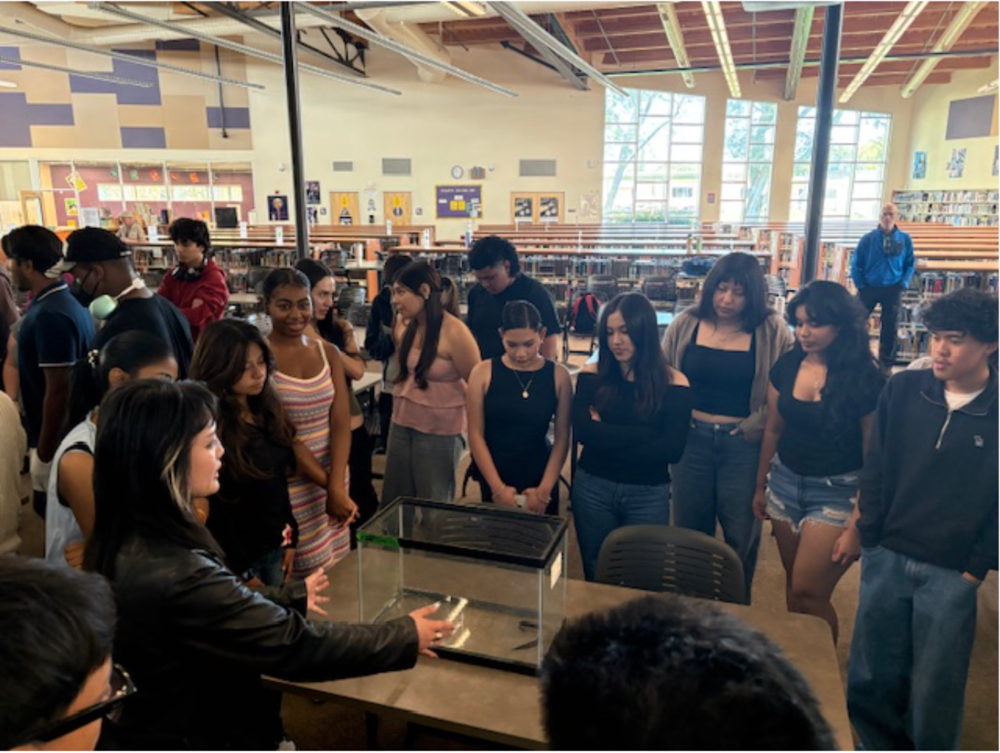 Students at Armijo High School are engaged with the seminar