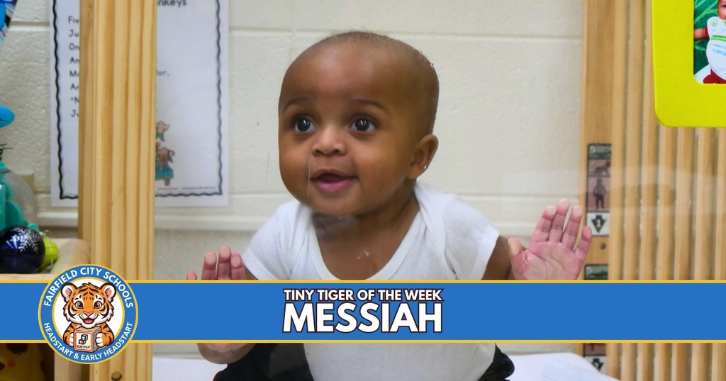 Tiny Tiger of the week Messiah