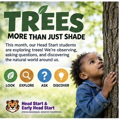 🍂 Let’s count what nature gives us. A tree study can become a math lesson in seconds. How many leaves did we collect? Which one is bigger? Which stick is shorter? Can we sort the leaves by size or shape? These simple questions help young children begin practicing counting, comparing, sorting and describing, all while exploring something they can see and touch. That’s the beauty of early childhood education. One discovery can lead to another. #LearningInAction #EarlyMath #HeadStart #LearningThroughPlay