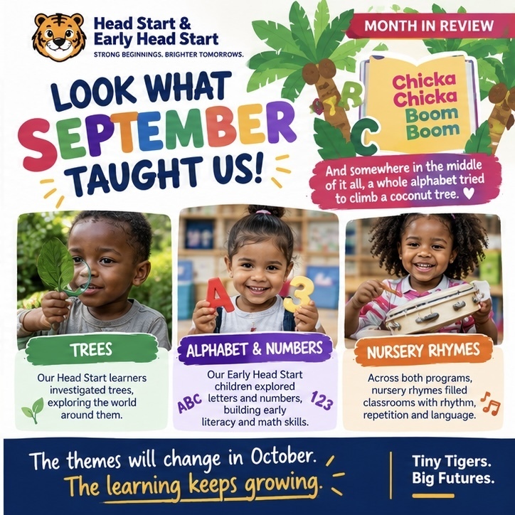 🌳 🔤 🎶 September gave our Tiny Tigers plenty to explore! Our Head Start learners investigated Trees. Our Early Head Start children explored Alphabet & Numbers. Across both programs, Nursery Rhymes filled classrooms with rhythm, repetition and language. And somewhere in the middle of it all, a whole alphabet tried to climb a coconut tree. 🌴 Through Chicka Chicka Boom Boom, September's Book of the Month, our children found another playful way to connect books with the concepts they were discovering all around them. The themes will change in October, but learning keeps on growing. #LearningInAction #ChickaChickaBoomBoom #TinyTigers #HeadStart #EarlyHeadStart