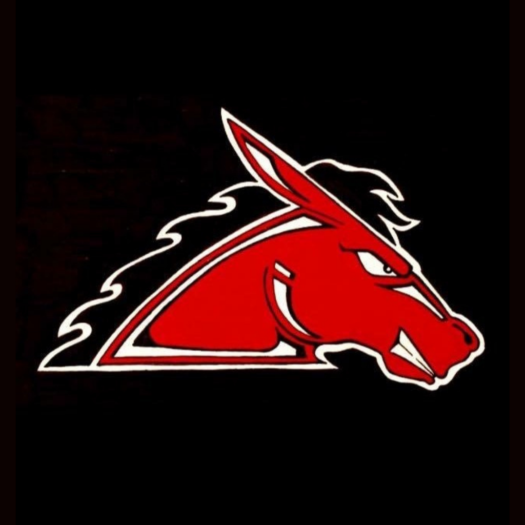 mule