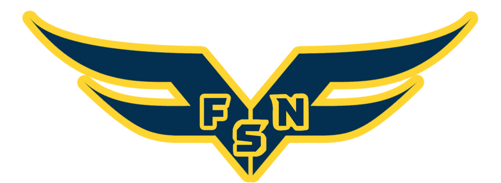 fsn logo