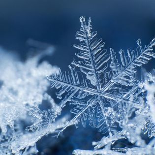School Cancelation January 23