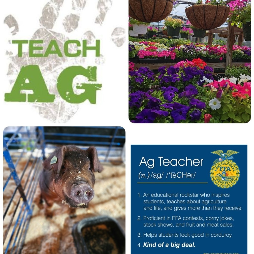 teach