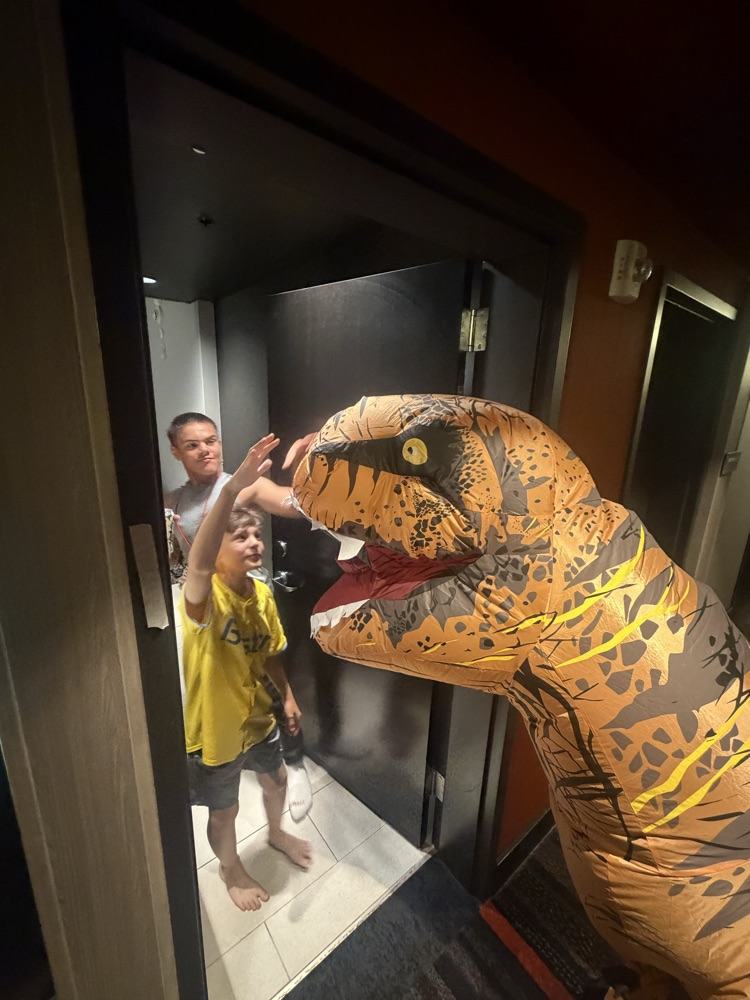 Dino room check