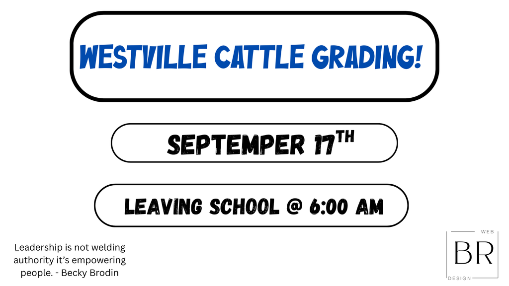 Westville Cattle Grading. 