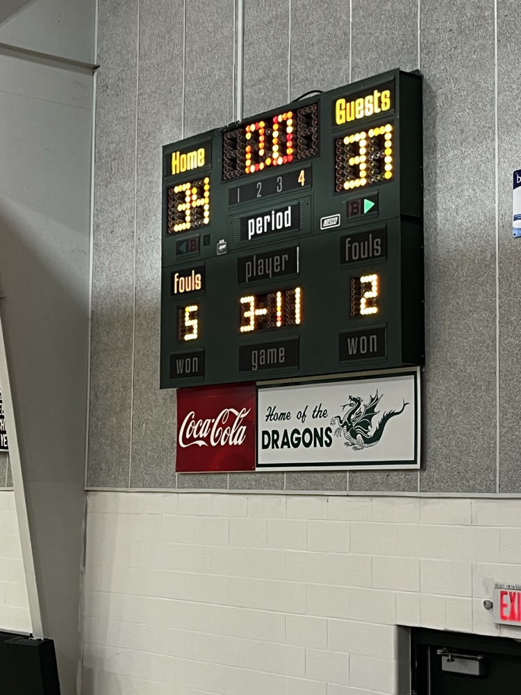 lady owls vs lady dragons