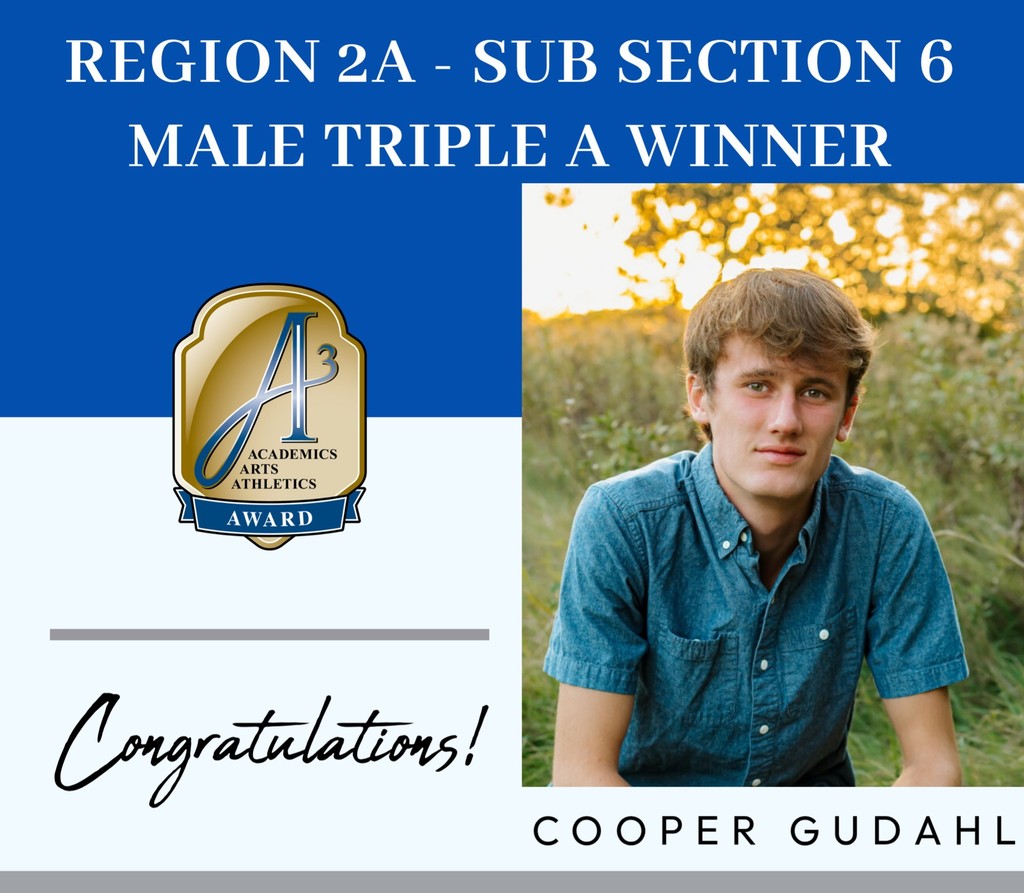 Region 2A - Sub Section 6 Male Triple A Winner - Cooper Gudahl
