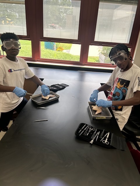 Science