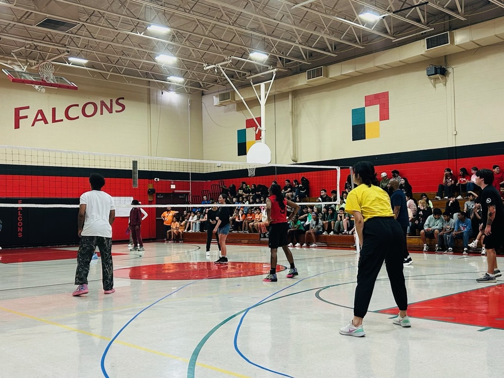 Field Day