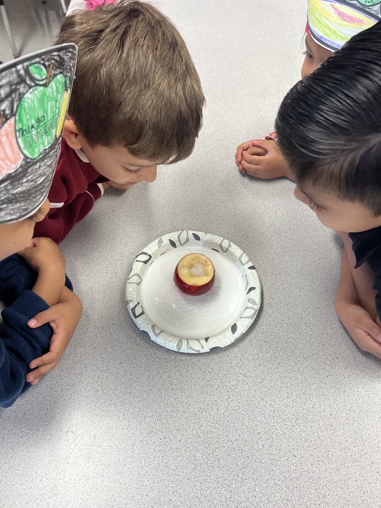 An apple volcano experiment!
