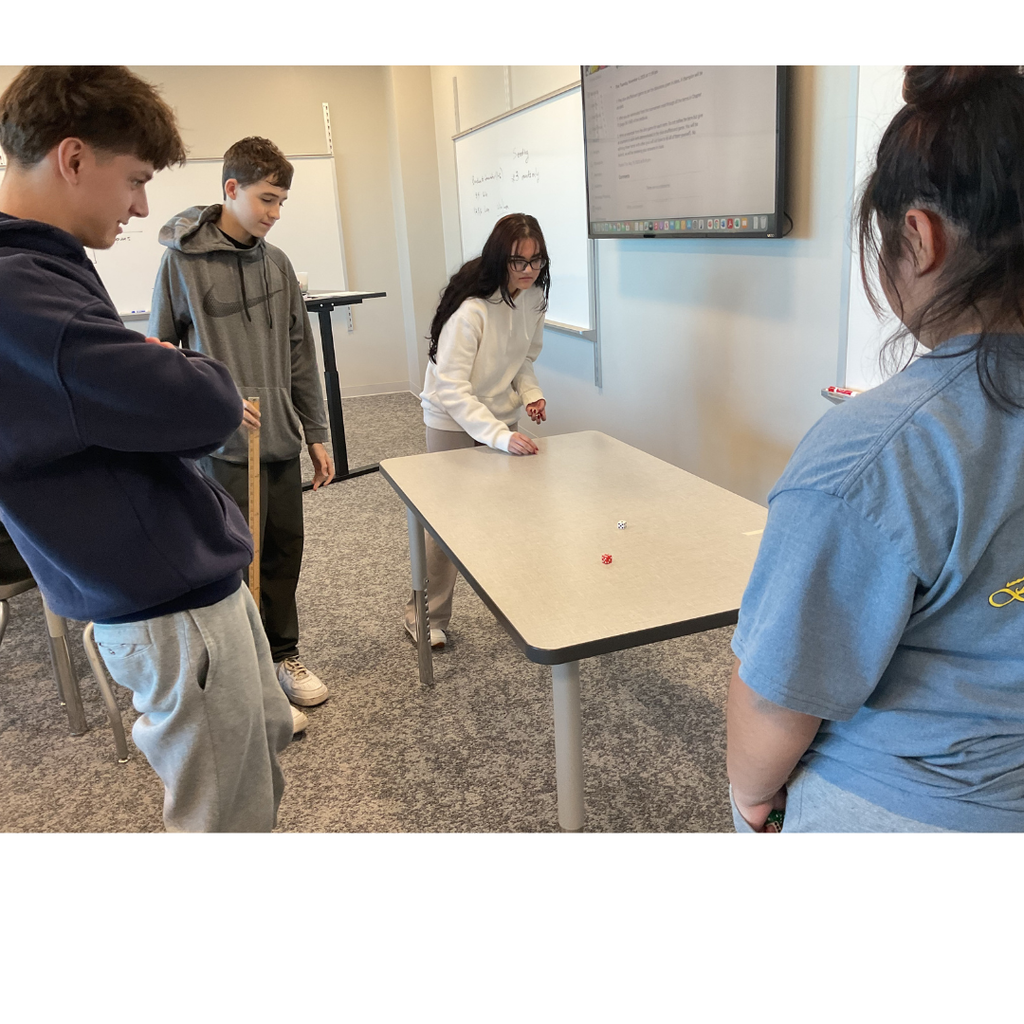4 students playing a game called dice shuffleboard