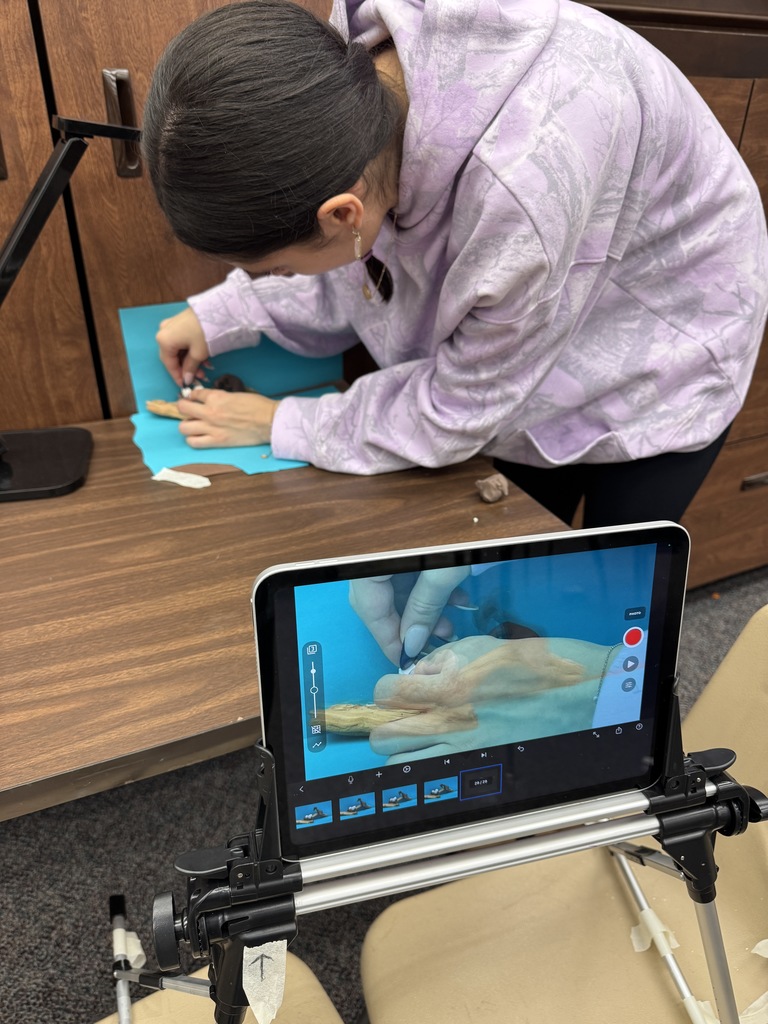 The 12 principles of animation are guiding the FHS students while they develop their stop motion animations about “Play Stories”.